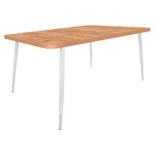 Стол разборный Базилик (1600*800 столешница F закругл.углы цв.Люкс) дуб крафт золотой